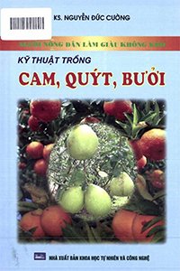 Kỹ thuật trồng cam, quýt, bưởi