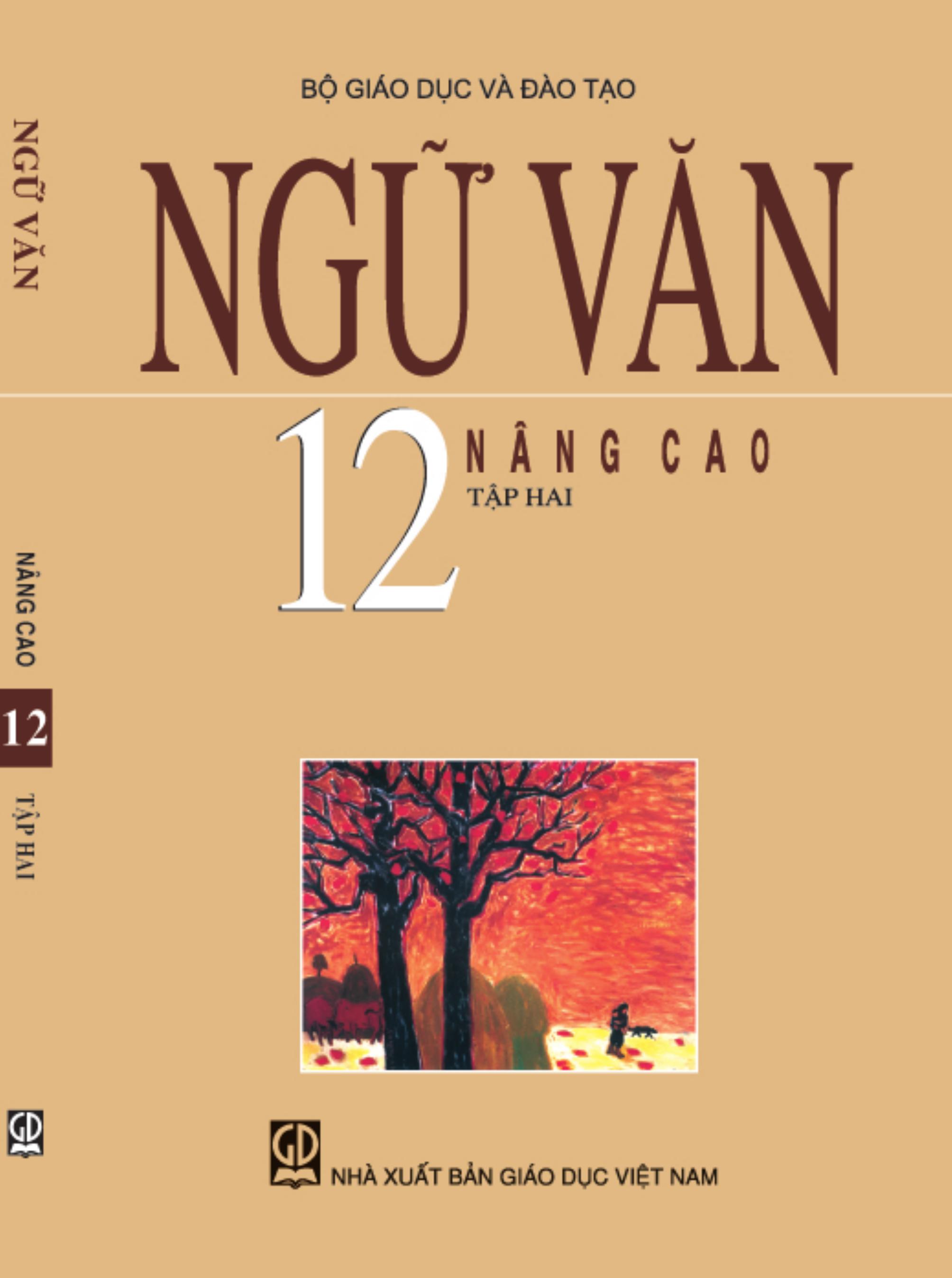 Ngữ văn 12 nâng cao tập 2