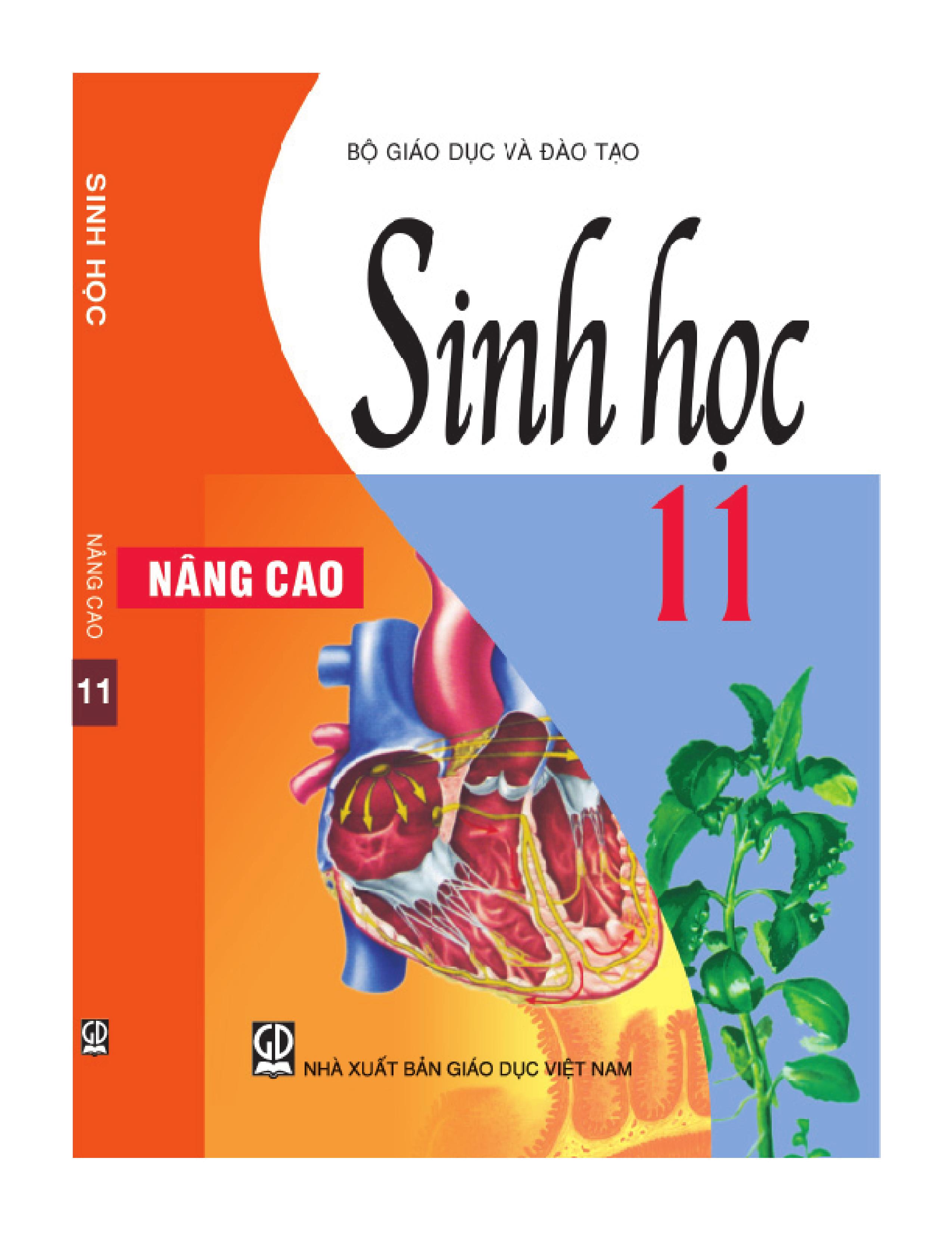 Sinh Học lớp 11 Nâng Cao
